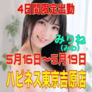 ヒメ日記 2026/05/08 21:06 投稿 みりね ハピネス東京 吉原店