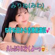 ヒメ日記 2026/05/10 08:26 投稿 みりね ハピネス東京 吉原店