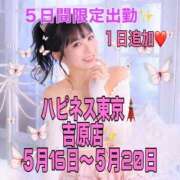 ヒメ日記 2026/05/11 17:56 投稿 みりね ハピネス東京 吉原店