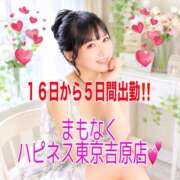 ヒメ日記 2026/05/12 19:46 投稿 みりね ハピネス東京 吉原店