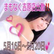 ヒメ日記 2026/05/14 08:26 投稿 みりね ハピネス東京 吉原店
