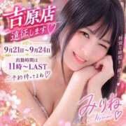 ヒメ日記 2026/09/19 12:16 投稿 みりね ハピネス東京 吉原店