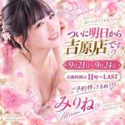 ヒメ日記 2026/09/20 15:36 投稿 みりね ハピネス東京 吉原店