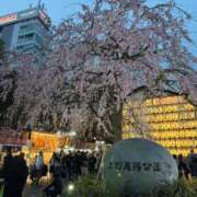 ヒメ日記 2026/03/29 17:17 投稿 堀越あまね MIRAI TOKYO 新宿店