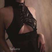 ヒメ日記 2026/02/01 22:01 投稿 すばる倫理観 五反田痴女性感フェチ倶楽部