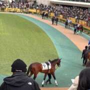 ヒメ日記 2026/02/28 12:40 投稿 すばる倫理観 五反田痴女性感フェチ倶楽部