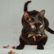 ヒメ日記 2026/01/23 10:44 投稿 桃／もも 五反田アネージュ（ユメオト）