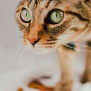 ヒメ日記 2026/01/24 08:14 投稿 桃／もも 五反田アネージュ（ユメオト）