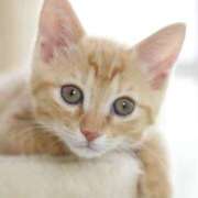 ヒメ日記 2026/02/15 18:48 投稿 桃／もも 五反田アネージュ（ユメオト）