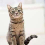 ヒメ日記 2026/02/23 20:30 投稿 桃／もも 五反田アネージュ（ユメオト）