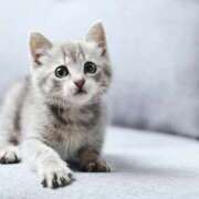 ヒメ日記 2026/02/24 10:33 投稿 桃／もも 五反田アネージュ（ユメオト）