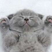 桃／もも 本日出勤です💕 五反田アネージュ（ユメオト）