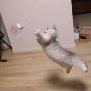 ヒメ日記 2026/03/14 18:15 投稿 桃／もも 五反田アネージュ（ユメオト）