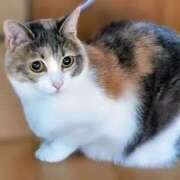 ヒメ日記 2026/03/17 21:57 投稿 桃／もも 五反田アネージュ（ユメオト）