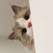 ヒメ日記 2026/01/23 14:36 投稿 りと サマンサ 堺店