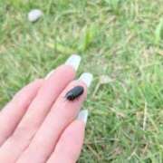 とわ はじめまして♡ 若妻淫乱倶楽部 古河店