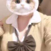 ヒメ日記 2026/01/31 00:08 投稿 白桃 あい アリス女学院 日本橋校