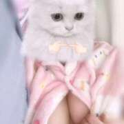 ヒメ日記 2026/02/06 16:26 投稿 白桃 あい アリス女学院 日本橋校