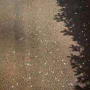 ヒメ日記 2026/04/01 00:14 投稿 沢宮(さわみや) 人妻出逢い会 百合の園 山の手本店