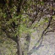 ヒメ日記 2026/04/11 21:57 投稿 沢宮(さわみや) 人妻出逢い会 百合の園 山の手本店