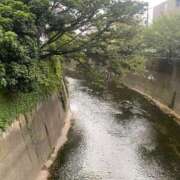 ヒメ日記 2026/09/02 10:29 投稿 沢宮(さわみや) 人妻出逢い会 百合の園 山の手本店