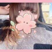 ヒメ日記 2026/01/29 19:30 投稿 さくらこ ふわふわコレクション川越店