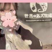 ヒメ日記 2026/03/08 16:30 投稿 さくらこ ふわふわコレクション川越店
