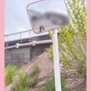 ヒメ日記 2026/04/09 12:28 投稿 さくらこ ふわふわコレクション川越店