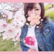 ヒメ日記 2026/04/13 14:38 投稿 さくらこ ふわふわコレクション川越店