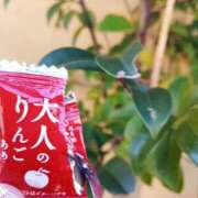 ヒメ日記 2026/02/19 00:00 投稿 内田ももこ 五十路マダム静岡店（カサブランカG）