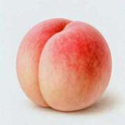 ヒメ日記 2026/02/19 11:04 投稿 内田ももこ 五十路マダム静岡店（カサブランカG）