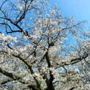 内田ももこ お久しぶりです♪ 五十路マダム静岡店（カサブランカG）