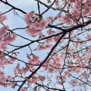 ヒメ日記 2026/02/18 19:55 投稿 矢田 里美 こあくまな熟女たち 静岡店（KOAKUMAグループ）