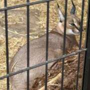 ヒメ日記 2026/03/08 19:54 投稿 矢田 里美 こあくまな熟女たち 静岡店（KOAKUMAグループ）