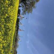 ヒメ日記 2026/04/12 15:21 投稿 矢田 里美 こあくまな熟女たち 静岡店（KOAKUMAグループ）