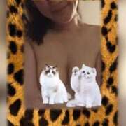 ヒメ日記 2026/02/26 23:56 投稿 河北ゆう お姉さんLABO -艶-