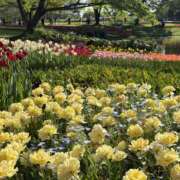 ヒメ日記 2026/04/17 17:56 投稿 一宮　ひかり Eureka！EGOIST～エゴイスト～-美とエロスの饗宴