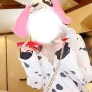 ヒメ日記 2026/02/18 11:25 投稿 せな カワサキ EROTIC