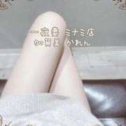 ヒメ日記 2026/02/16 19:44 投稿 加賀美 かれん 一夜妻　大阪ミナミ店