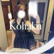 ヒメ日記 2026/02/11 14:35 投稿 こはく SEXIS-セクシーズ-