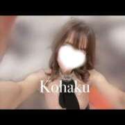 ヒメ日記 2026/02/13 14:35 投稿 こはく SEXIS-セクシーズ-