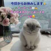 ヒメ日記 2026/02/20 09:02 投稿 くろえ 熟女の風俗最終章 本厚木店