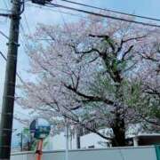 ヒメ日記 2026/04/07 10:08 投稿 くろえ 熟女の風俗最終章 本厚木店