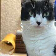 ヒメ日記 2026/02/07 22:52 投稿 ハンコック☆期間限定顔動画無料 京都Jewel