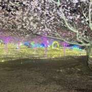 るあ こんばんは🌙*ﾟ パイの巣