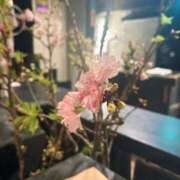 ヒメ日記 2026/04/17 21:37 投稿 ソア On a best（オンナベスト）
