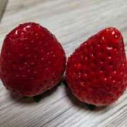 ヒメ日記 2026/01/28 12:25 投稿 井上 松戸おかあさん