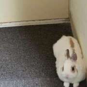 ヒメ日記 2026/01/31 08:55 投稿 井上 松戸おかあさん