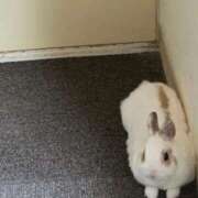 ヒメ日記 2026/01/31 09:14 投稿 井上 錦糸町おかあさん