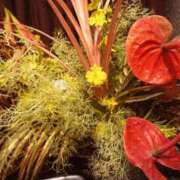 ヒメ日記 2026/03/22 17:40 投稿 井上 錦糸町おかあさん